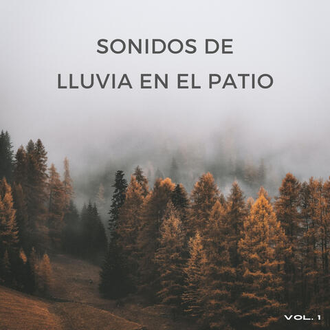 Sonidos De Lluvia En El Patio Vol. 1