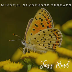 Concentric Lounge Chords