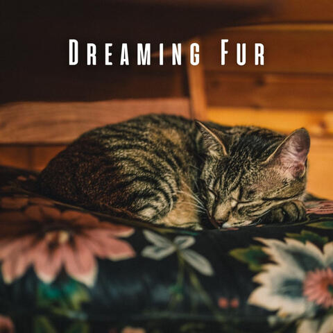 Dreaming Fur: Chill Music for Cats' Rest