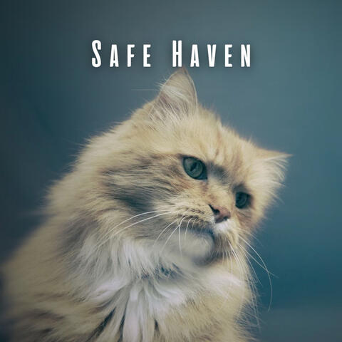 Safe Haven: Cats' Peaceful Chill Music