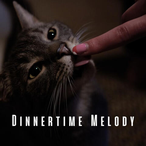 Dinnertime Melody: Chill Music for Cats Feast
