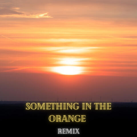 Something In The Orange