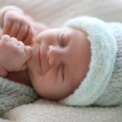 Journey to Dreamland Lullabies
