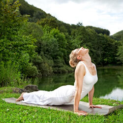 Calmness Under Birdsong Yoga