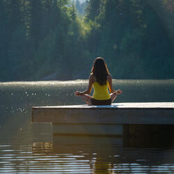 Meditation Infused with Birds