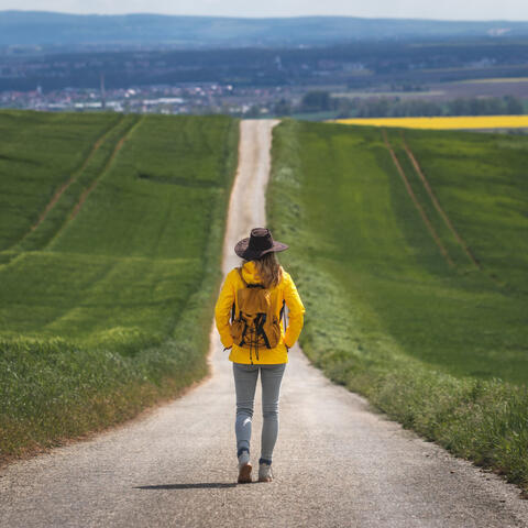 Effervescent Notes: A Chill Music Journey