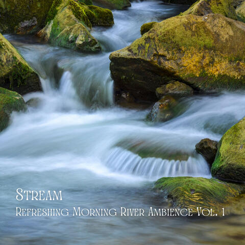 Stream: Refreshing Morning River Ambience Vol. 1