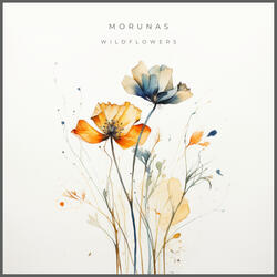 Wildflowers