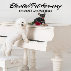 Elevated Bonding Echoes: Piano Jazz's Ethereal Pet Melodies