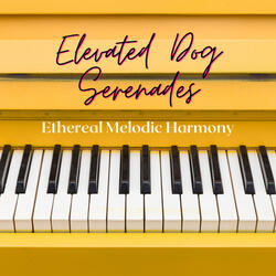 Serenading Dog Melodies: Ethereal Piano's Serene Echoes