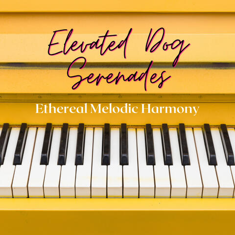 Elevated Dog Serenades: Ethereal Piano Melodic Harmony