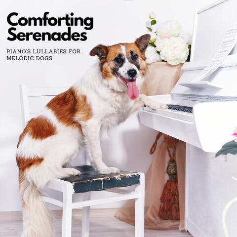 Comforting Serenades: Piano's Lullabies for Melodic Dogs