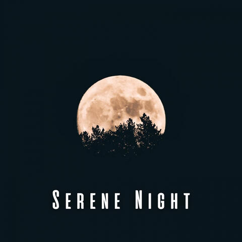 Serene Night: Lulling Ambient Music for Sleep