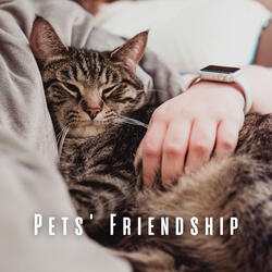 Ambient Pet Chants