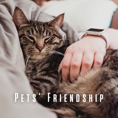 Pets' Friendship: Ambient Music Harmony