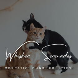 Tranquil Keys of Feline Grace