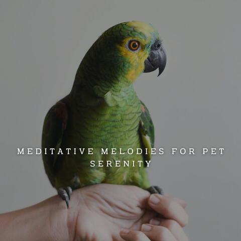 Piano Paws: Meditative Melodies for Pet Serenity