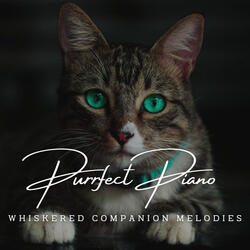 Pawsteps in Harmonic Notes