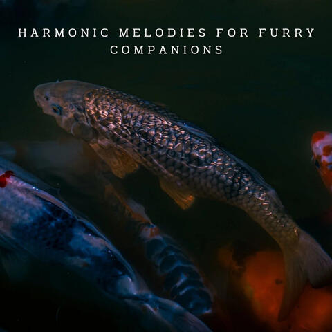 Piano Pet Serenity: Harmonic Melodies for Furry Companions