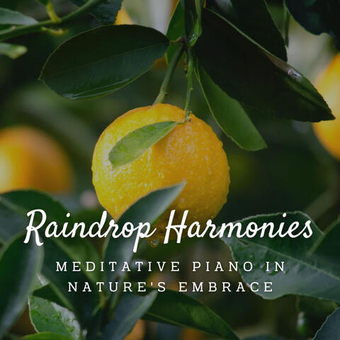 Raindrop Harmonies: Meditative Piano in Nature's Embrace