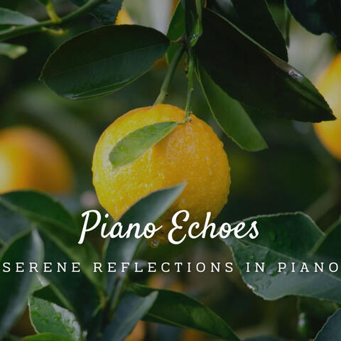 Tranquil Piano Echoes: Serenity in Every Note