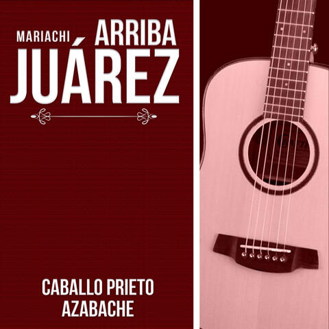 Caballo Prieto Azabache