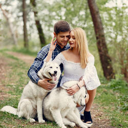 Insects Chirp in Harmony