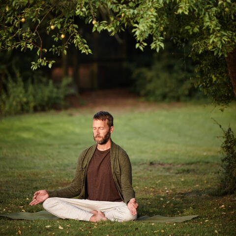 Chill Sound Focused Retreat: Nature Crickets' Nighttime Concentration