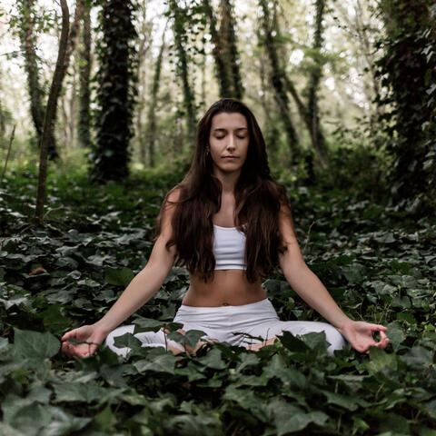 Nature's Meditation with Crickets and Chill Soundscapes