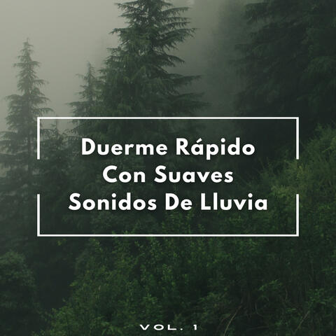 Duerme Rápido Con Suaves Sonidos De Lluvia Vol. 1