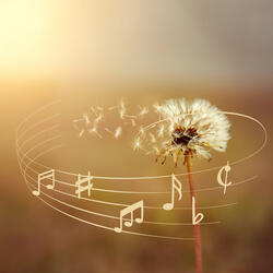 Cozy Music for Kitty's Nest