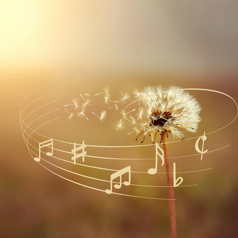 Workplace Wellness - Music for Balance, Efficiency, and Innovation