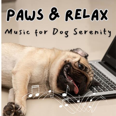 Paws & Relax - Music for Dog Serenity