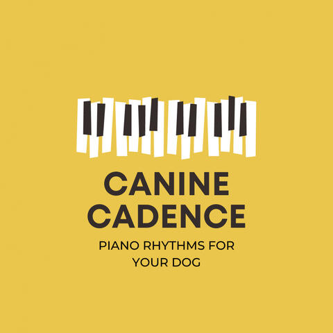 Canine Cadence: Piano Rhythms for Your Dog