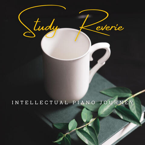 Piano Study Reverie: Focus and Flow