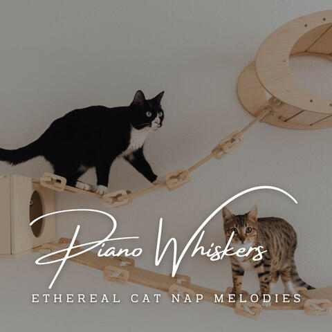 Piano Whiskers and Harmony: Cat Serenades