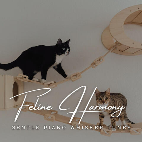 Piano Purrscapes: Feline Harmony