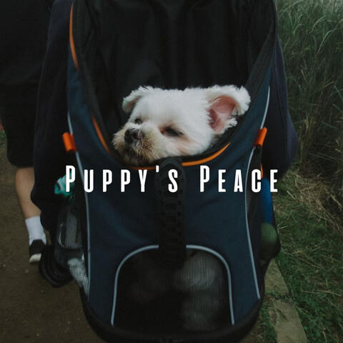 Puppy's Peace: Binaural Music for Young Dogs