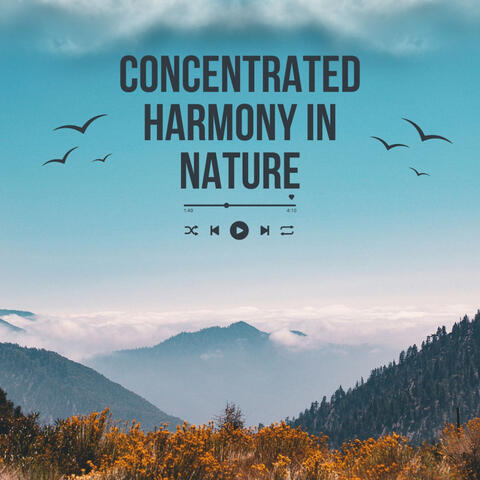 Piano Reverie: Concentrated Harmony in Nature