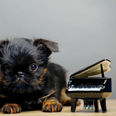 Piano's Pawsitive Melodies: Ethereal Canine Melodies