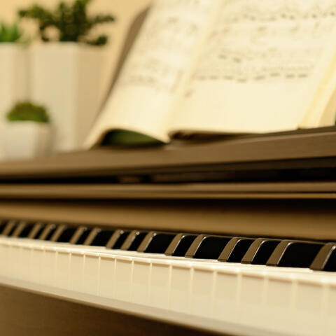 Ethereal Piano Serenades: Harmonic Melodies for Feline Friends