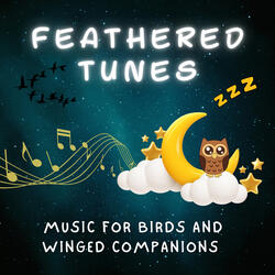 Joyful Music for Birds