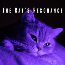 Purrfectly Peaceful Frequencies