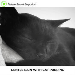 Gentle Rain With Cat Purring