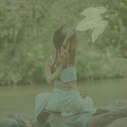 Silent Stars Music for Solitude