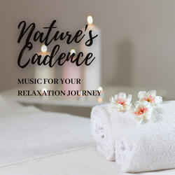 A Meadow's Calm Music for Relaxation