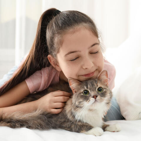 Mindful Cat Melodies: A Graceful Bond with Chill Music