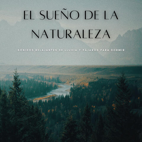 El Sueño De La Naturaleza: Sonidos Relajantes De Lluvia Y Pájaros Para Dormir