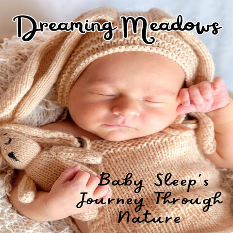Dreaming Meadows: Baby Sleep's Journey Through Nature