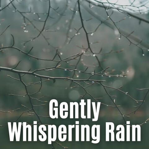 Gently Whispering Rain